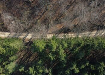 “No hay excusa para la inacción”: la pérdida de biodiversidad es un riesgo para las empresas