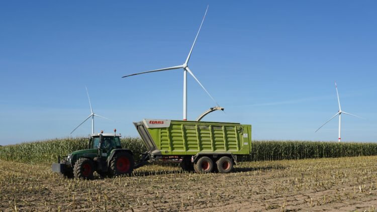 Para qué sirven los biocombustibles además del combustible: usos en electricidad, calefacción y energía doméstica
