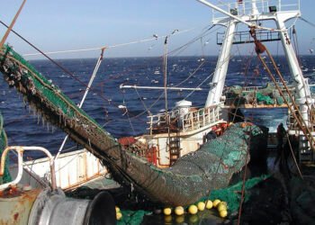 Ficha limpia pesquera: Chubut podría asumir un liderazgo a nivel nacional si suma el acceso público a los datos de la flota