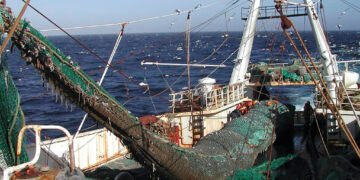 Ficha limpia pesquera: Chubut podría asumir un liderazgo a nivel nacional si suma el acceso público a los datos de la flota