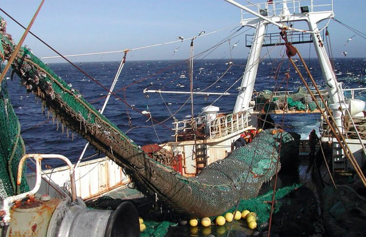 Ficha limpia pesquera: Chubut podría asumir un liderazgo a nivel nacional si suma el acceso público a los datos de la flota