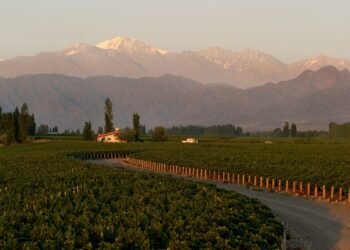 Turismo de impacto en Argentina: las Empresas B lideran el cambio