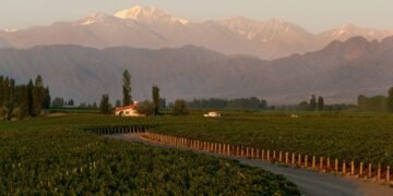 Turismo de impacto en Argentina: las Empresas B lideran el cambio