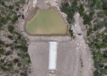 Cervecería y Maltería Quilmes lleva invertidos más de 8,6 millones de dólares en proyectos de eficiencia y resiliencia hídrica en el país