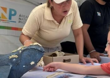 Claves sobre la salud del Mar Patagónico: “Lo que pasa en sus aguas condiciona nuestra vida y el clima”