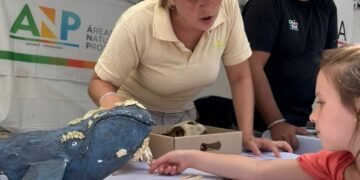 Claves sobre la salud del Mar Patagónico: “Lo que pasa en sus aguas condiciona nuestra vida y el clima”