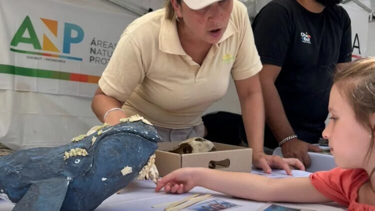 Claves sobre la salud del Mar Patagónico: “Lo que pasa en sus aguas condiciona nuestra vida y el clima”