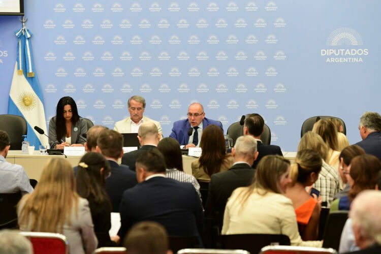 Ley de Glaciares: irregularidades y restricciones tras la inscripción récord en la audiencia pública