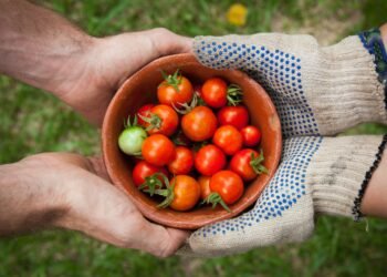 Realizarán un seminario para debatir el futuro del sistema alimentario en Rosario