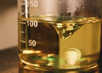 En Mendoza pondrán en marcha un programa para convertir aceite vegetal usado en bioenergía