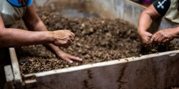 Más Compost, Menos Basura: la campaña internacional que propone transformar residuos en soluciones ambientales