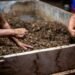 Más Compost, Menos Basura: la campaña internacional que propone transformar residuos en soluciones ambientales