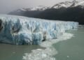 Debilitar la Ley de Glaciares pondría en riesgo a más de la mitad de las especies de vertebrados del país