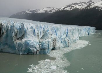 Debilitar la Ley de Glaciares pondría en riesgo a más de la mitad de las especies de vertebrados del país