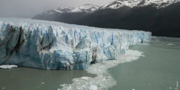 Debilitar la Ley de Glaciares pondría en riesgo a más de la mitad de las especies de vertebrados del país