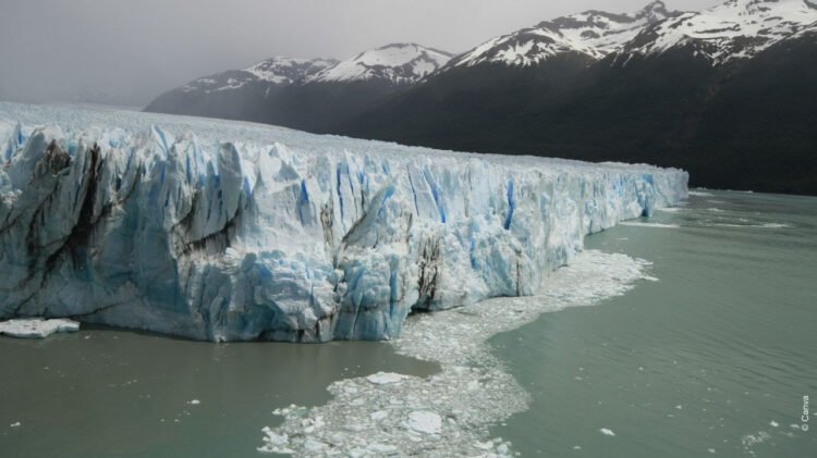 Debilitar la Ley de Glaciares pondría en riesgo a más de la mitad de las especies de vertebrados del país