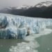 Debilitar la Ley de Glaciares pondría en riesgo a más de la mitad de las especies de vertebrados del país