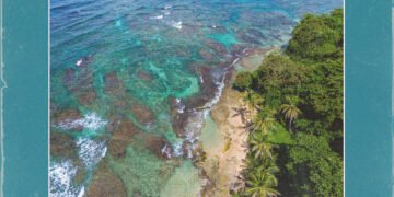 Bomba Estéreo y artistas del Caribe lanzan Cielo Azul, un himno por la justicia climática y la protección del mar