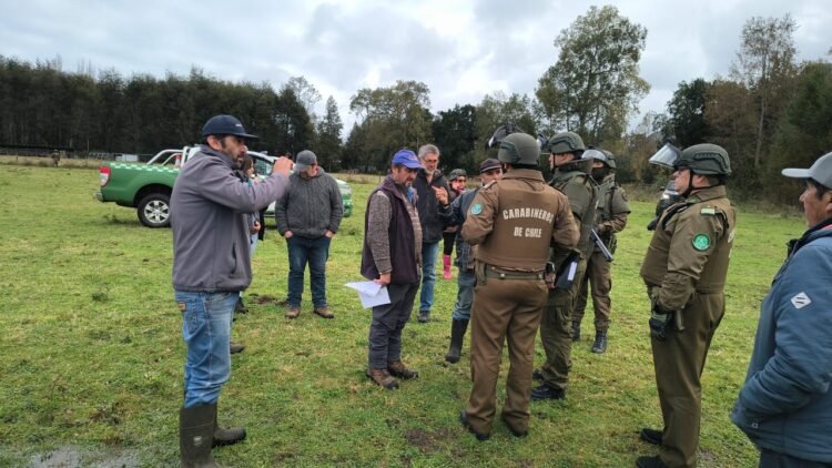 Comunidad mapuche denuncia desalojo en Lago Ranco y acusa vulneración de sitios sagrados y derechos ancestrales