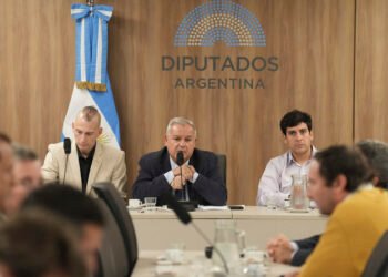 Biocombustibles: debatieron en el Congreso dos proyectos para aumentar la mezcla de biodiésel y bioetanol