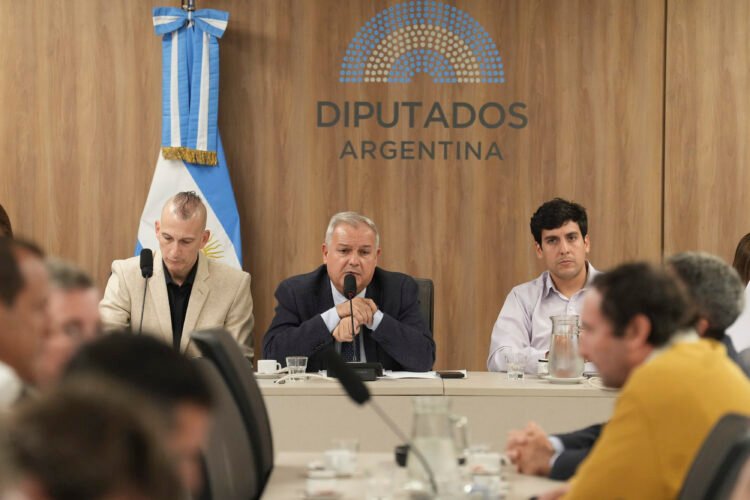 Biocombustibles: debatieron en el Congreso dos proyectos para aumentar la mezcla de biodiésel y bioetanol