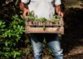 Producción agroecológica en Buenos Aires: fortalecen el apoyo a productores en Hipólito Yrigoyen