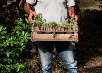 Producción agroecológica en Buenos Aires: fortalecen el apoyo a productores en Hipólito Yrigoyen