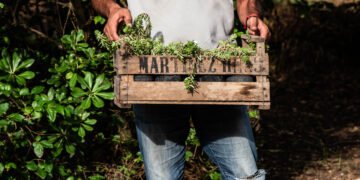 Producción agroecológica en Buenos Aires: fortalecen el apoyo a productores en Hipólito Yrigoyen