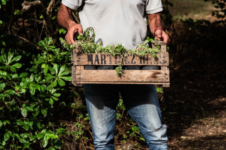 Producción agroecológica en Buenos Aires: fortalecen el apoyo a productores en Hipólito Yrigoyen