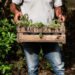 Producción agroecológica en Buenos Aires: fortalecen el apoyo a productores en Hipólito Yrigoyen