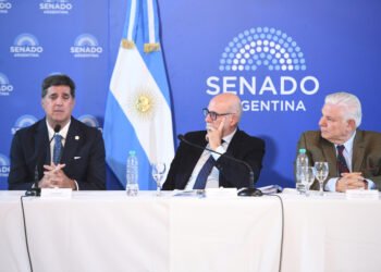 El Senado retomó el debate por la Ley de Biocombustibles