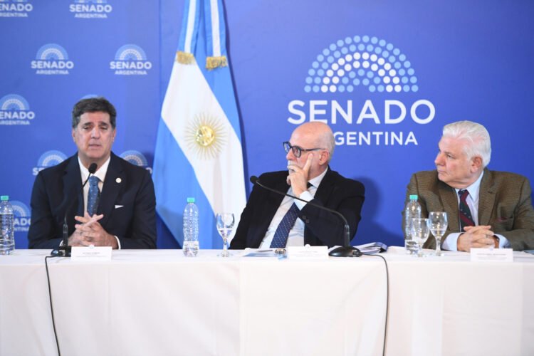 El Senado retomó el debate por la Ley de Biocombustibles