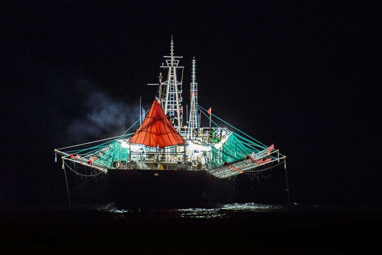 Milla 200: Denuncian que la flota extranjera ya extrae hasta cuatro veces más recursos que la pesca argentina
