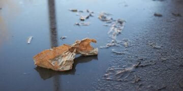 Contaminación del agua: cómo las servilletas de papel y la industria papelera impactan en ríos y desagües