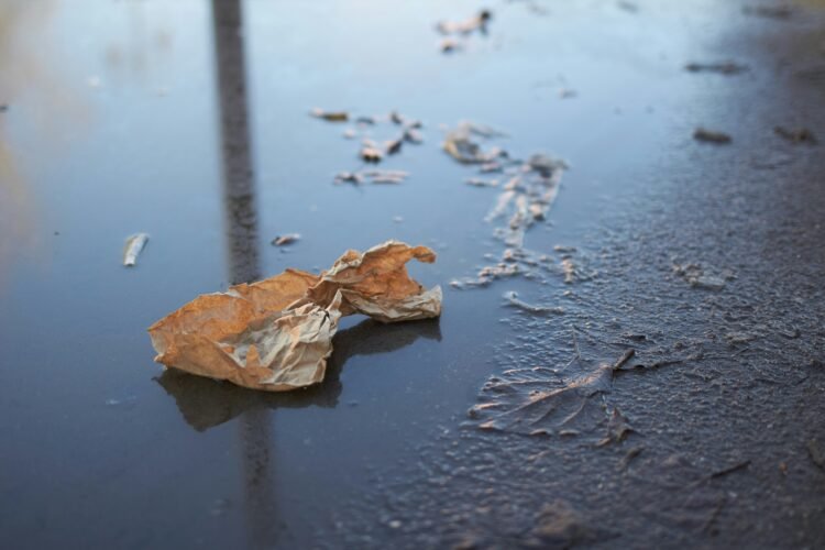 Contaminación del agua: cómo las servilletas de papel y la industria papelera impactan en ríos y desagües