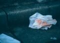 ¿La servilletas recicladas son realmente una opción sustentable o greenwashing?
