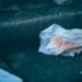¿La servilletas recicladas son realmente una opción sustentable o greenwashing?