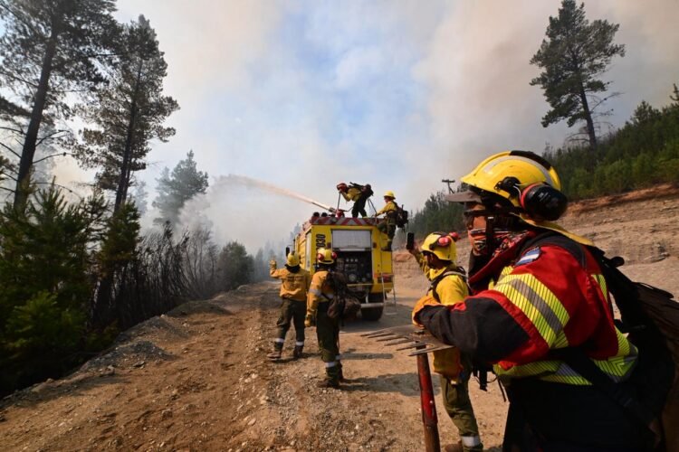 Los incendios forestales en la Patagonia contaminan el agua que beben miles de personas