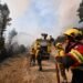 Los incendios forestales en la Patagonia contaminan el agua que beben miles de personas