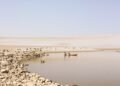 Paisaje del Sahel africano con vegetación reverdecida y cuerpos de agua recuperados tras décadas de sequía.
