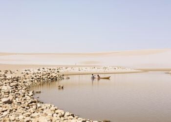 Paisaje del Sahel africano con vegetación reverdecida y cuerpos de agua recuperados tras décadas de sequía.