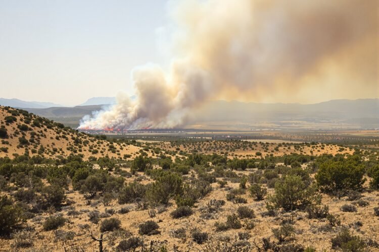 Paisaje afectado por incendios forestales en España bajo humo denso, evidencia del cambio climático y riesgo de incendios ext