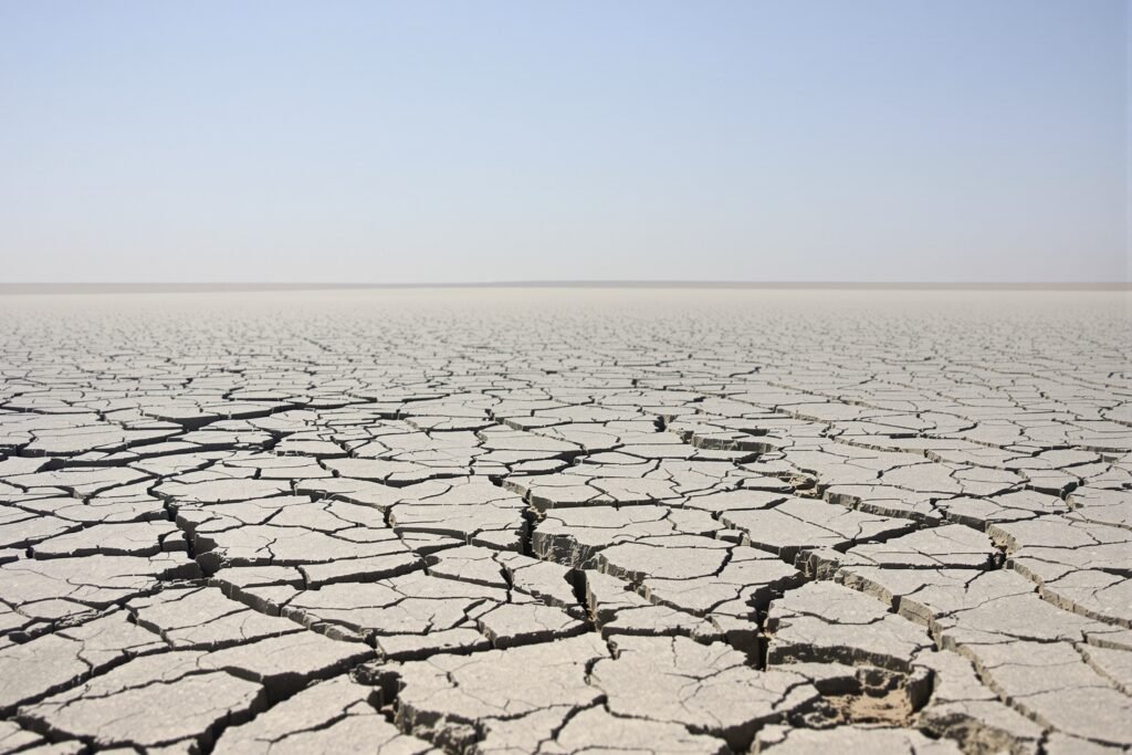 Lecho seco del río Danubio con tierra agrietada por la sequía en Europa Central.