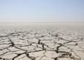 Lecho seco del río Danubio con tierra agrietada por la sequía en Europa Central.