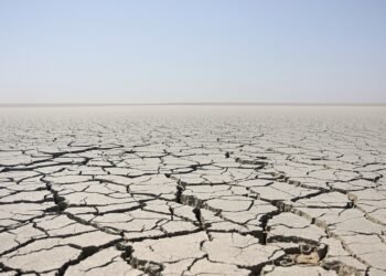 Lecho seco del río Danubio con tierra agrietada por la sequía en Europa Central.