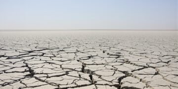 Lecho seco del río Danubio con tierra agrietada por la sequía en Europa Central.