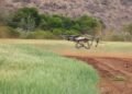 Dron agrícola sobrevolando un campo de cultivos en plena operación de fumigación.