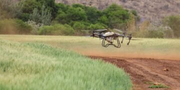 Dron agrícola sobrevolando un campo de cultivos en plena operación de fumigación.