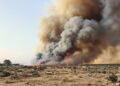 Humo denso se eleva sobre un bosque afectado por incendios forestales en la península ibérica.