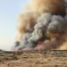 Humo denso se eleva sobre un bosque afectado por incendios forestales en la península ibérica.